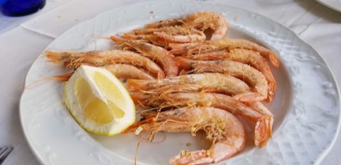 Alfredo Bar Restaurante: the room