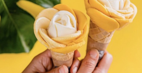 Amorino Gelato, Marbella Centro