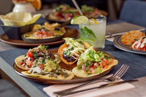 Mezcal Gastrobar Mexicano: the room
