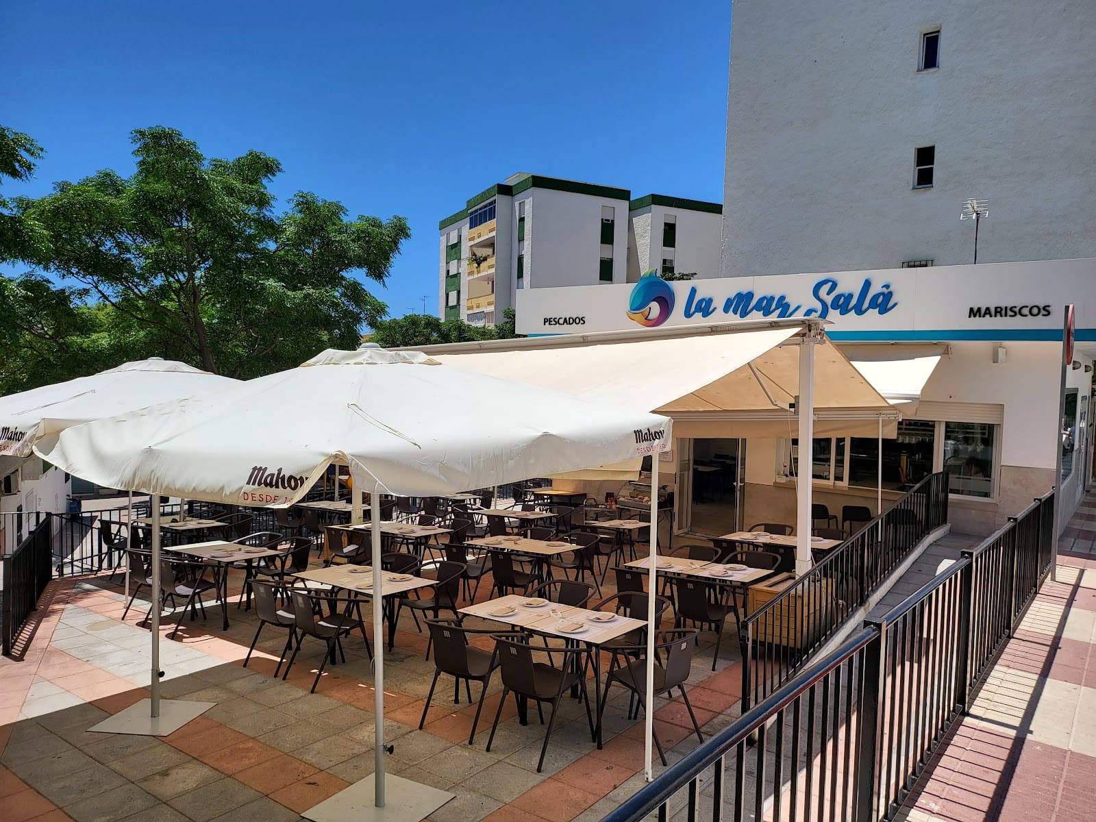 MOKA CAFE: the food