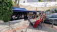 Pizzeria freiduria Pedro