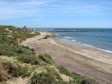 Dune vegetation and beach at Artola–Cabopino