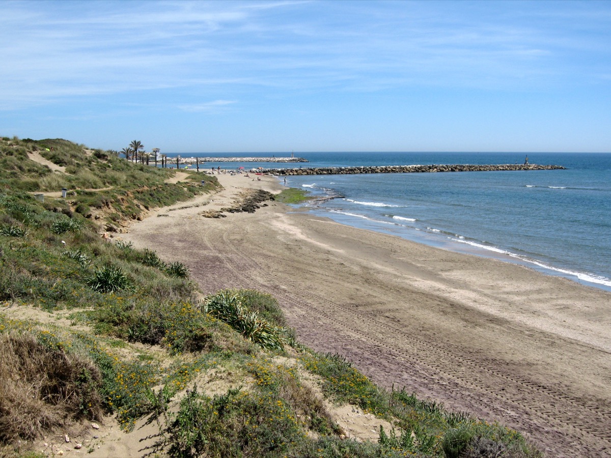 Dune vegetation and beach at Artola–Cabopino