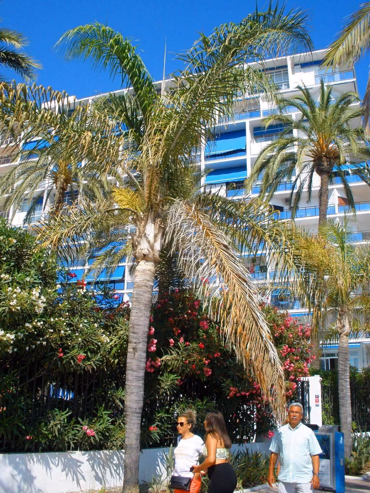 El Paseo Marítimo, el paseo costero de Marbella, en octubre